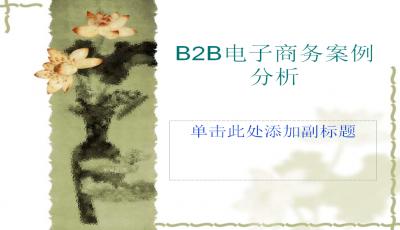 b2b网站开发ppt